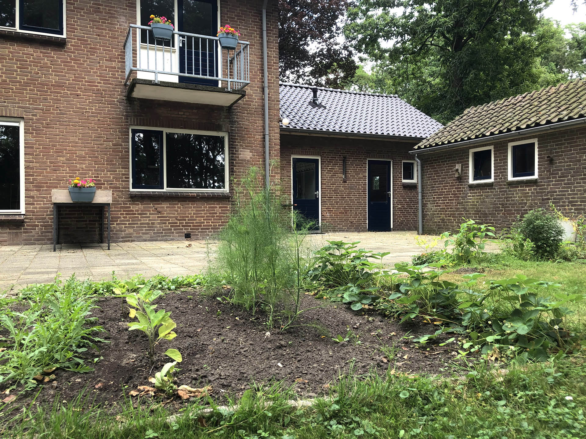 Stichting Met Elkaar De Glind moestuin